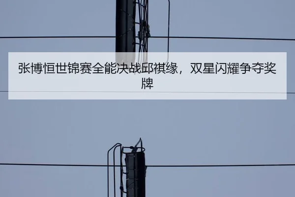 张博恒世锦赛全能决战邱祺缘，双星闪耀争夺奖牌